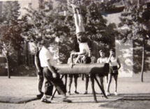 1967 Gymnastique (1)